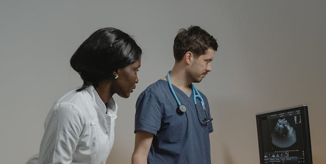 veterinario